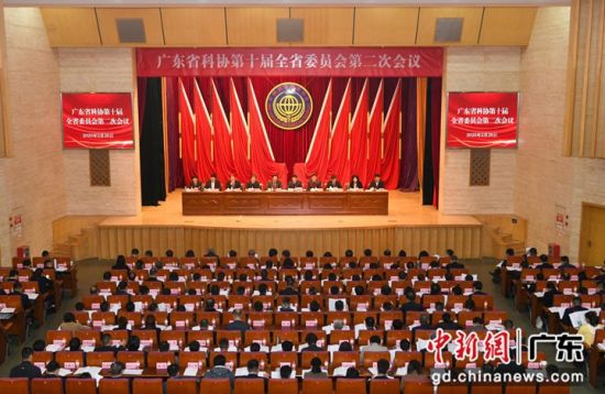 会议现场。广东省科协 供图